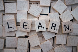 Learning & Development